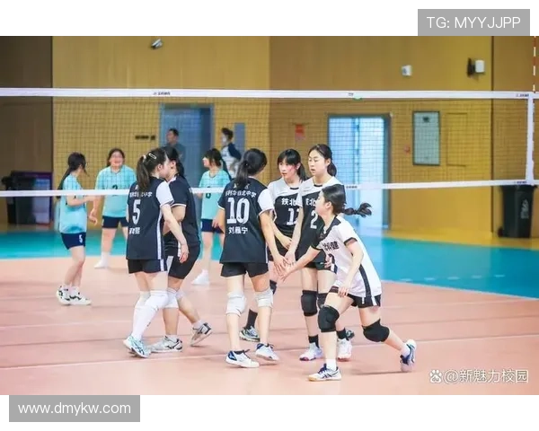 南京排球队在全国排球速度排行榜中荣获第九名展现强劲实力与潜力 南京排球队在全国排球速度排行榜中荣获第九名展现强劲实力与潜力